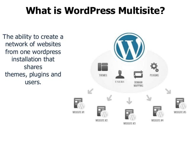 WordPress Multi-site